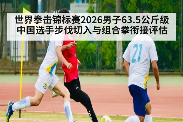 世界拳击锦标赛2026男子63.5公斤级中国选手步伐切入与组合拳衔接评估